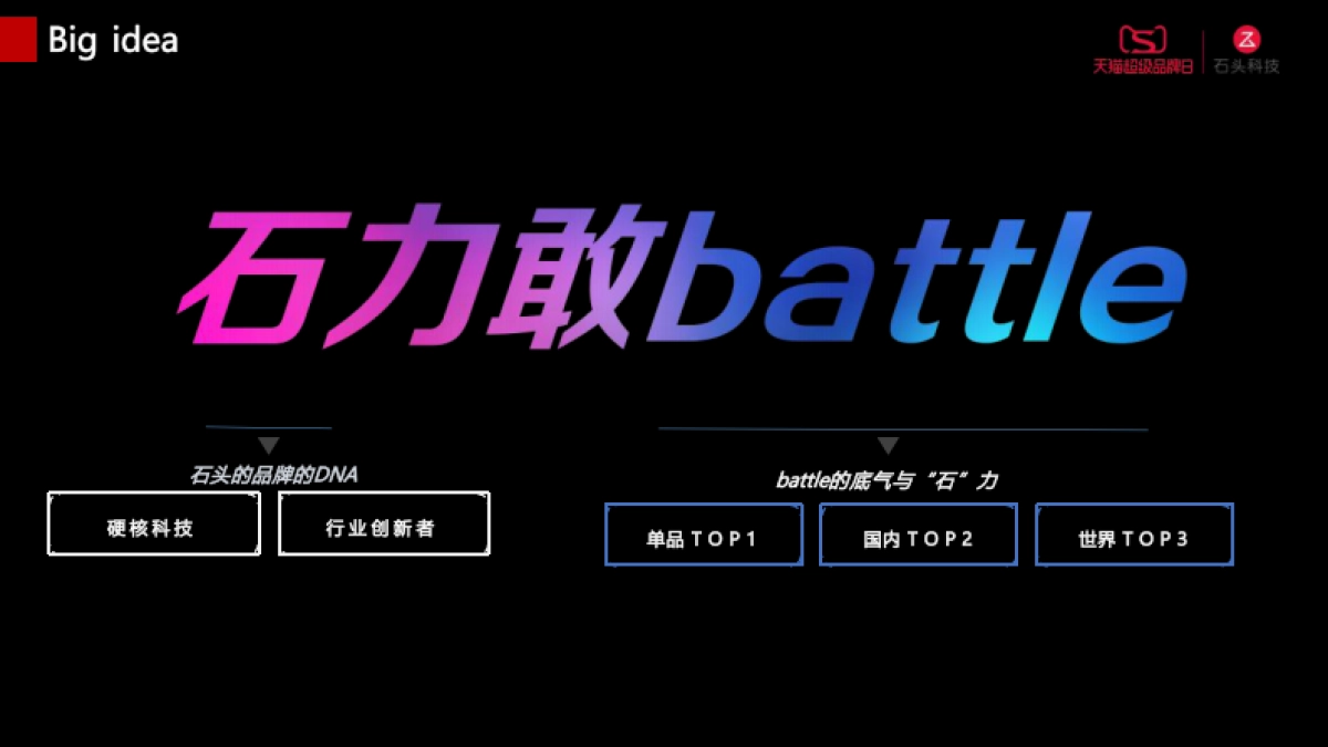 石头科技天猫营销战役_第3页