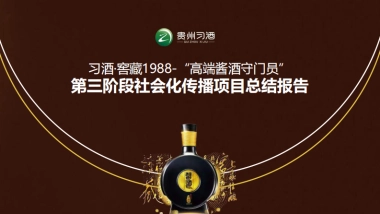 习酒社会化传播项目总结报告