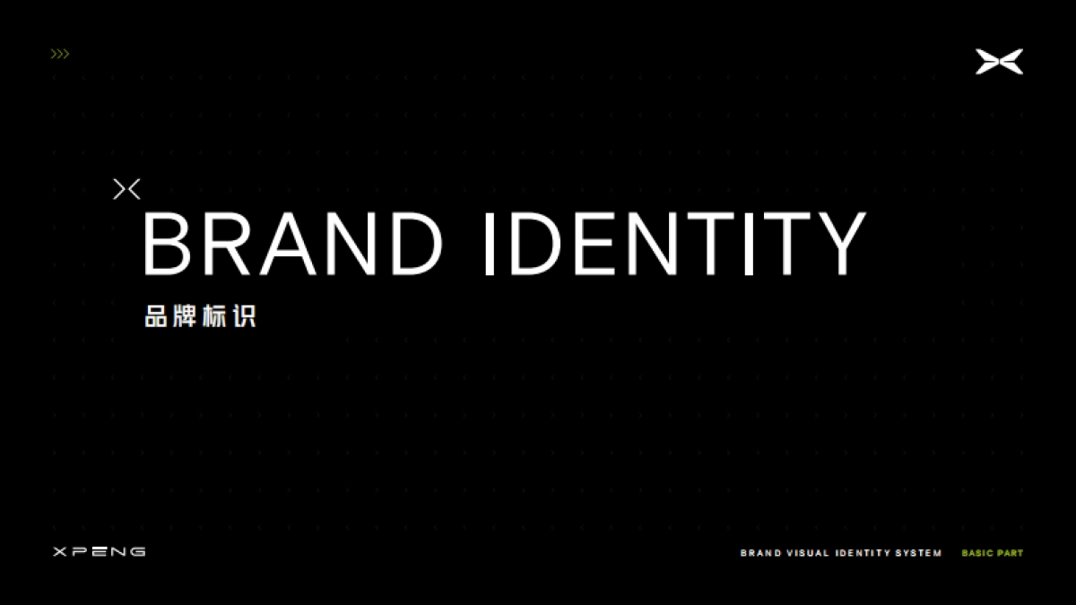 小鹏品牌视觉规范 专业版_第6页