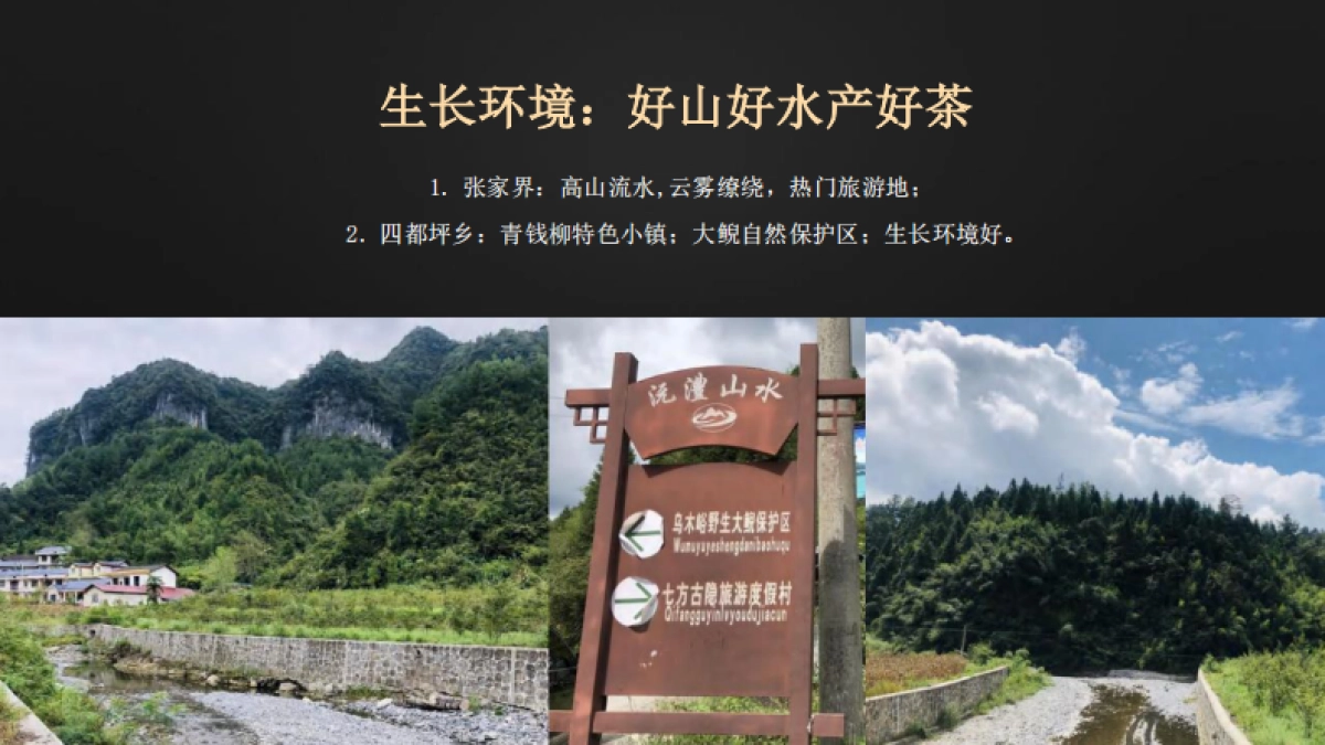 207页!茶品牌战略定位升级全案_第10页