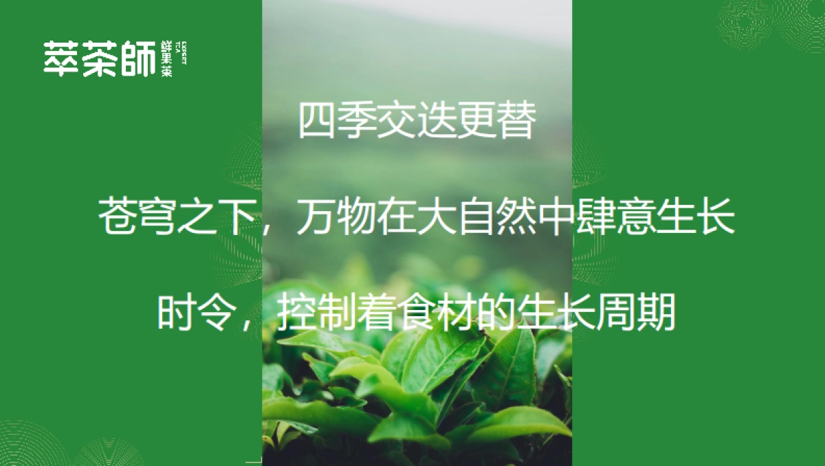 萃茶师新品新闻发布会方案_第6页