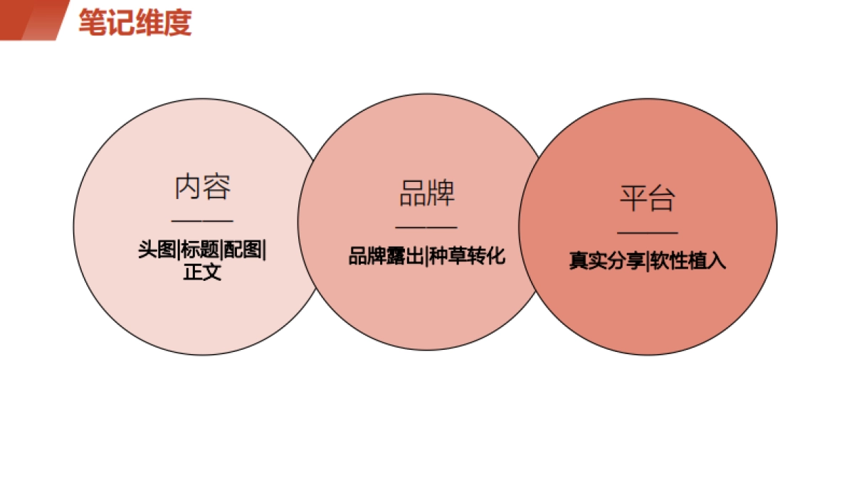 小红书0基础3分钟写笔记——投流笔记公式_第7页