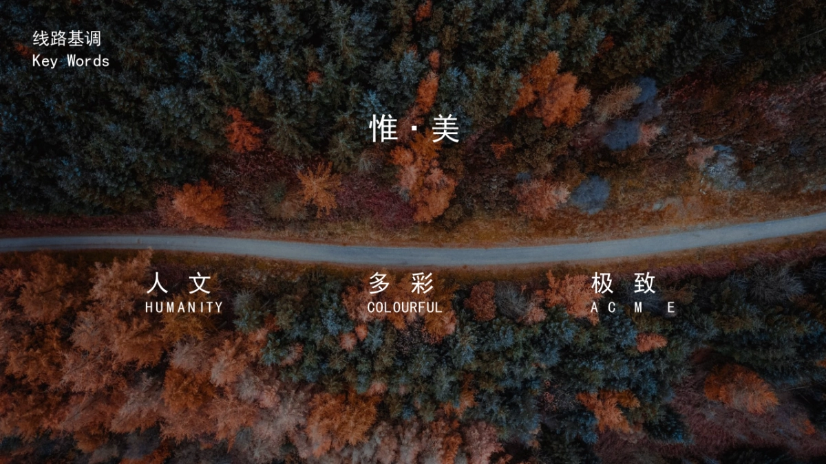 阿斯顿马丁DBX惟美之旅方案(中英文)_第8页