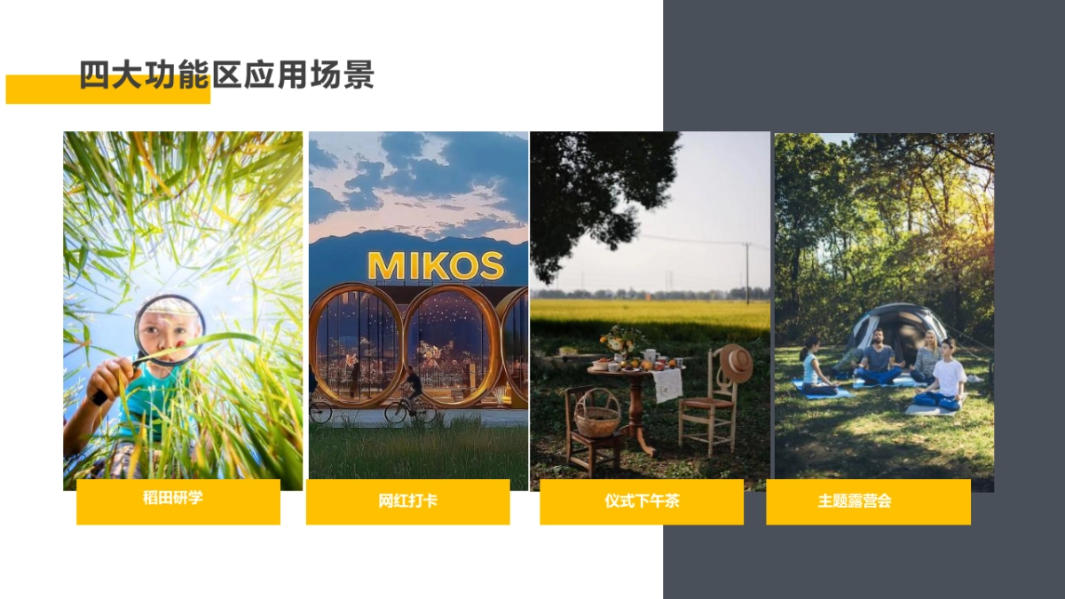 稻田书香乡村营地文旅项目田野生活方式集运营策划方案_第10页