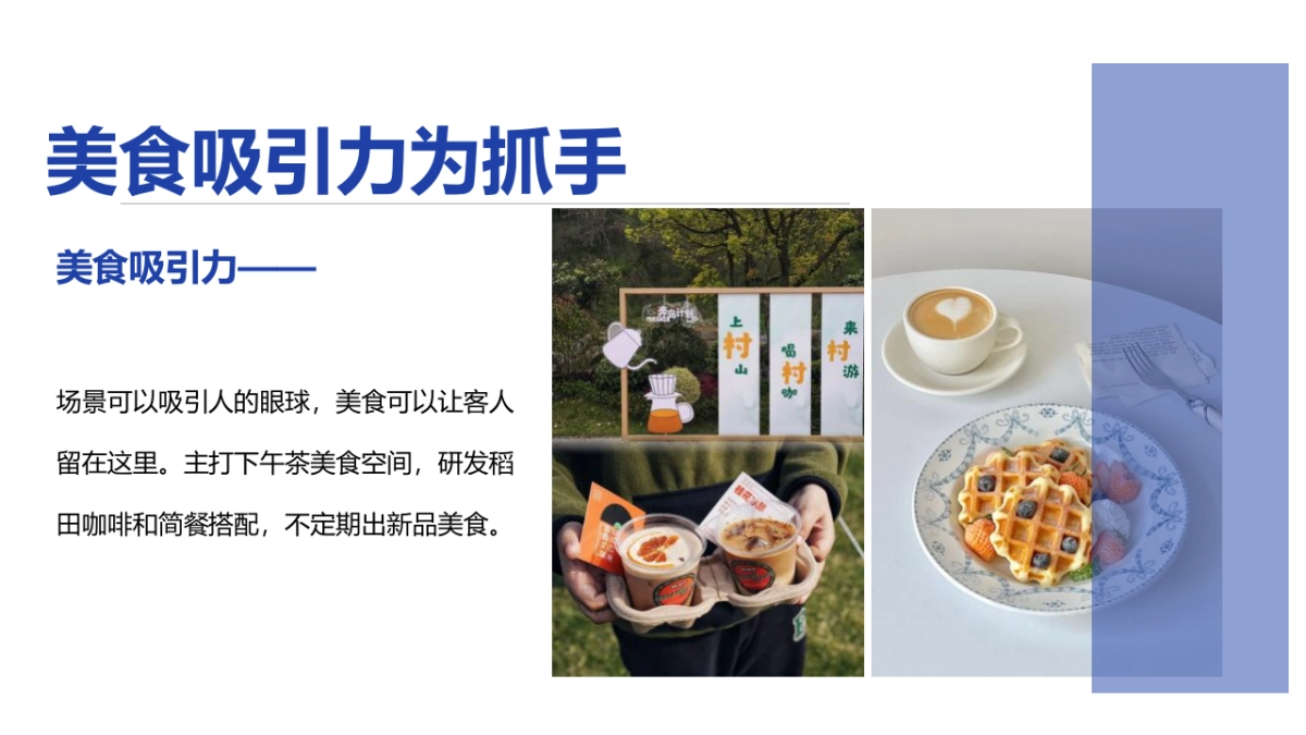 稻田书香乡村营地文旅项目田野生活方式集运营策划方案_第8页