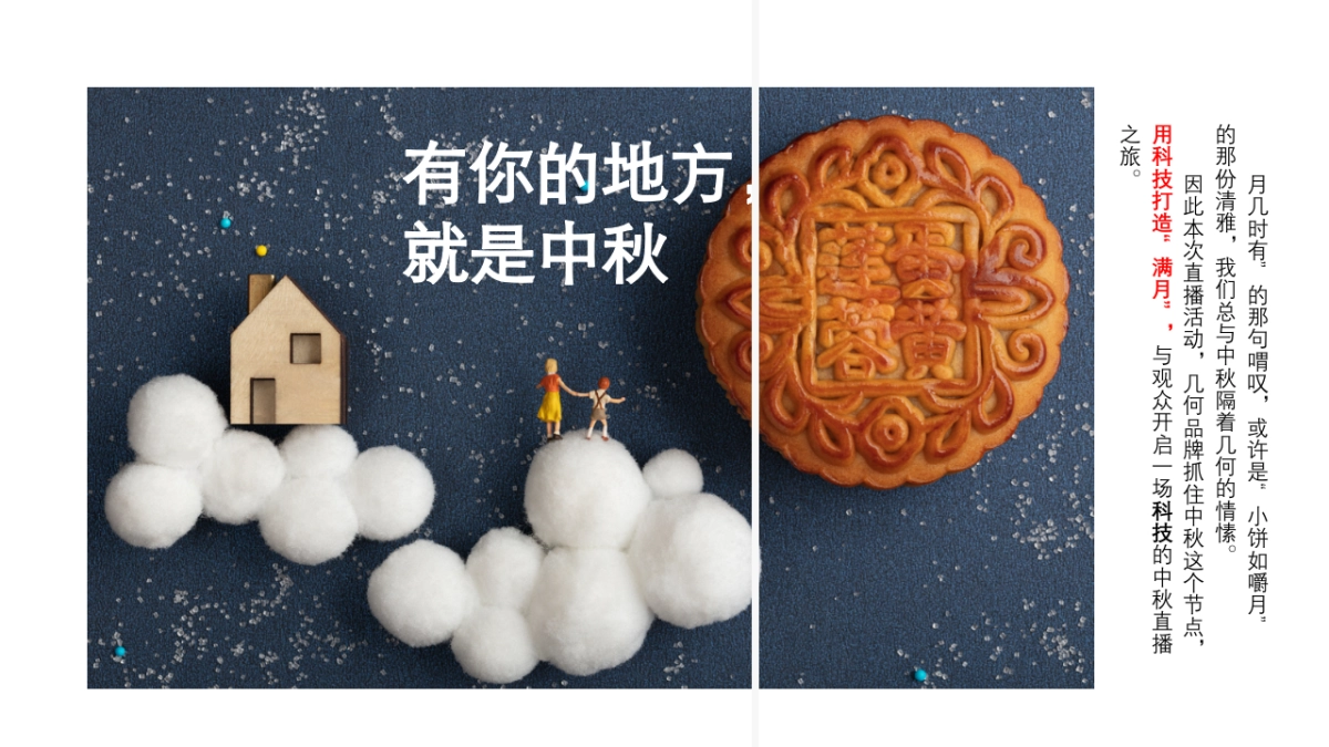 几何汽车中秋直播方案_第4页