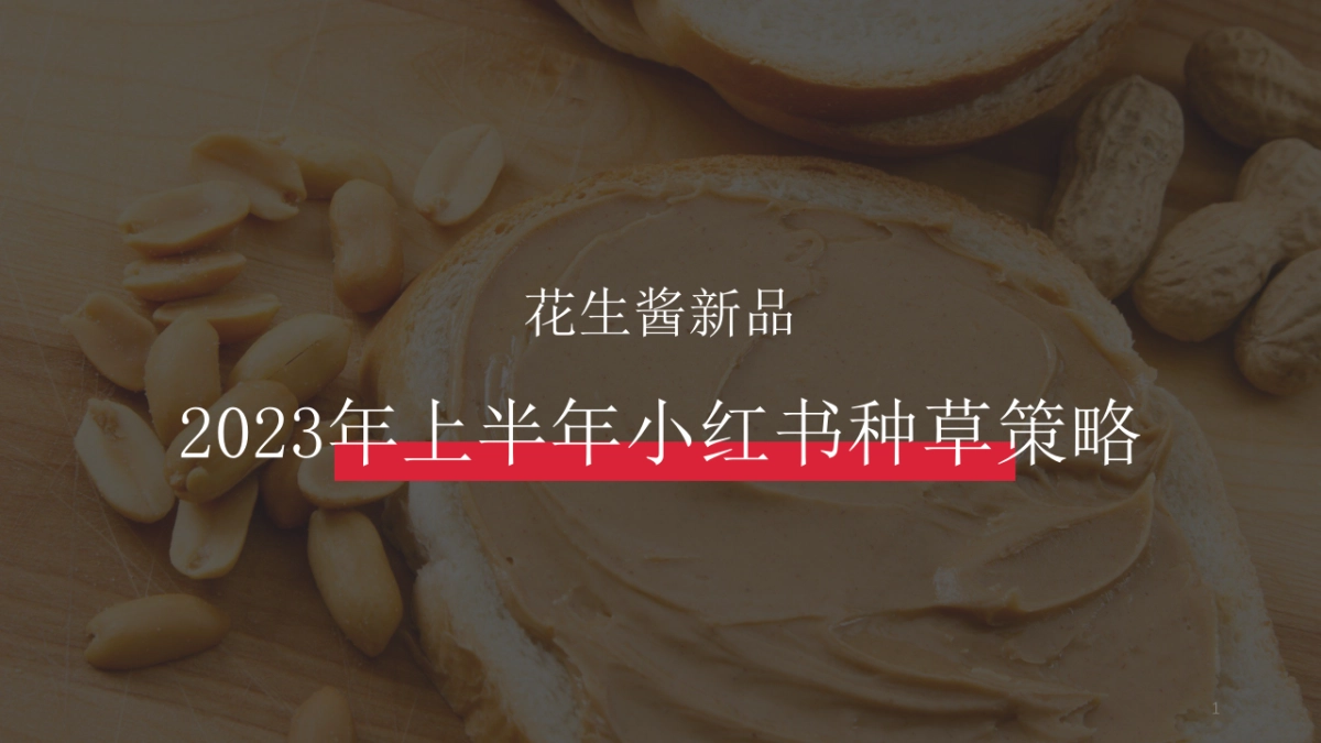 佐餐花生酱投放执行策略方案_第1页