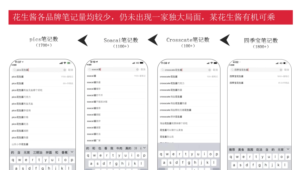 佐餐花生酱投放执行策略方案_第5页
