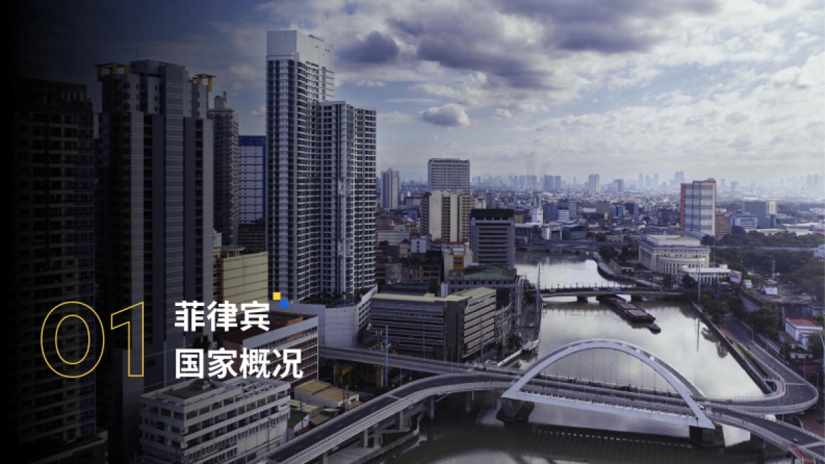 2024菲律宾运营商行业报告_第4页