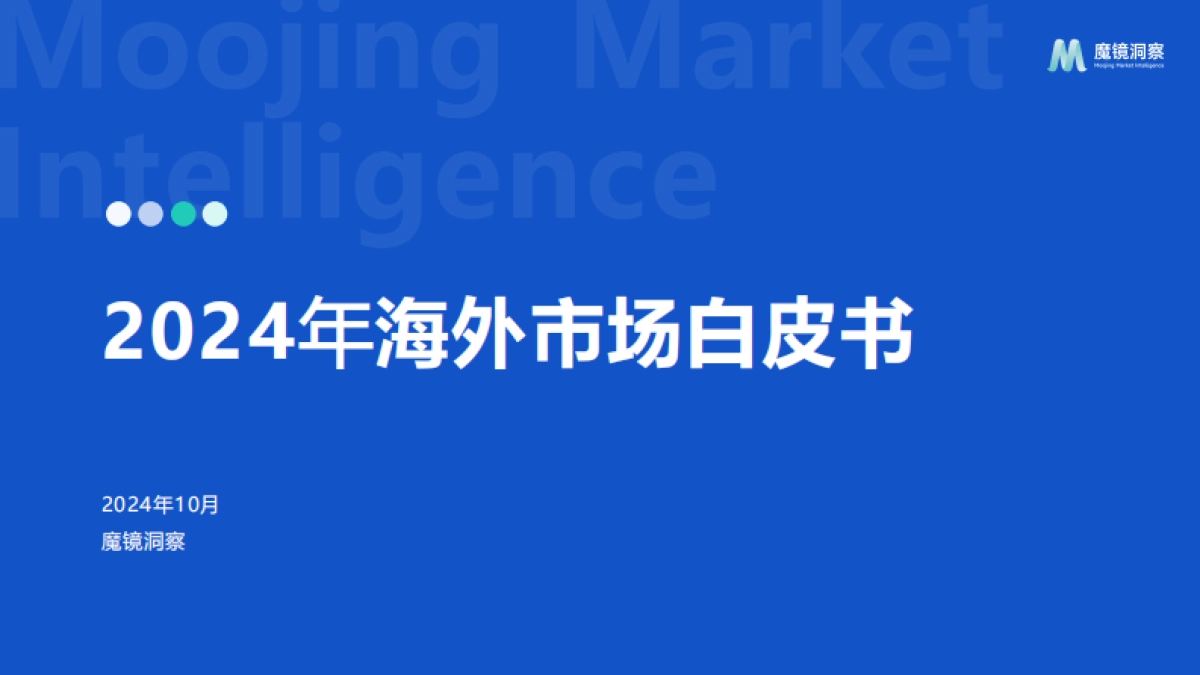 2024年海外市场白皮书_第1页
