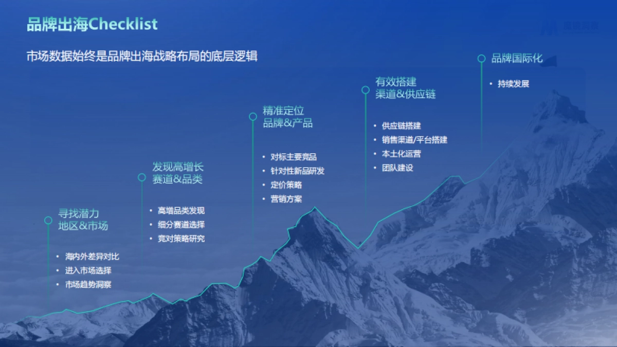 2024年海外市场白皮书_第10页