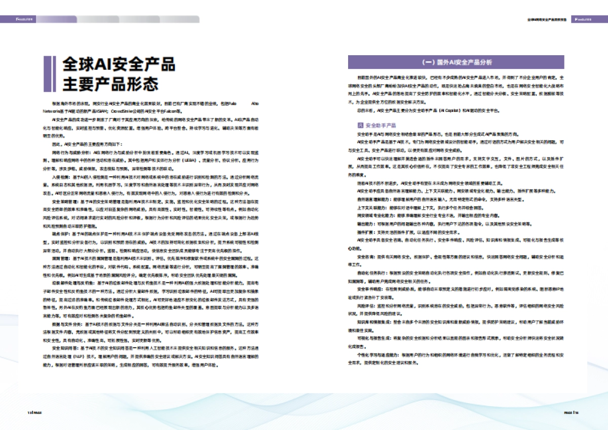 2024年全球AI网络安全产品洞察报告_第10页