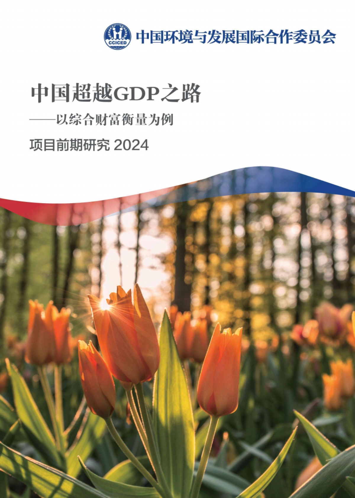 2023-2024项目前期研究报告-中国超越GDP之路_第1页