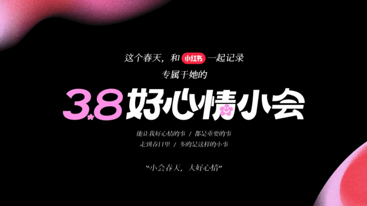2025年38心情小会招商_第9页