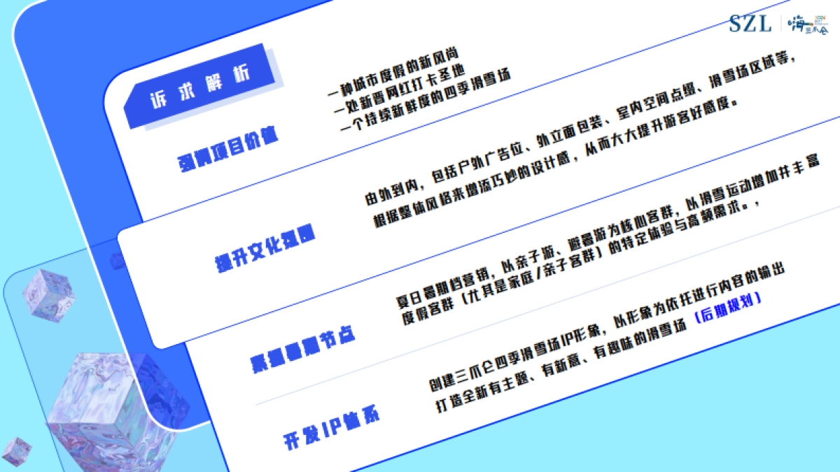 2024四季滑雪场项目包装设计方案_第2页