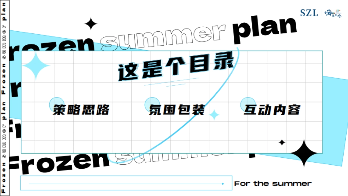 2024四季滑雪场项目包装设计方案_第3页