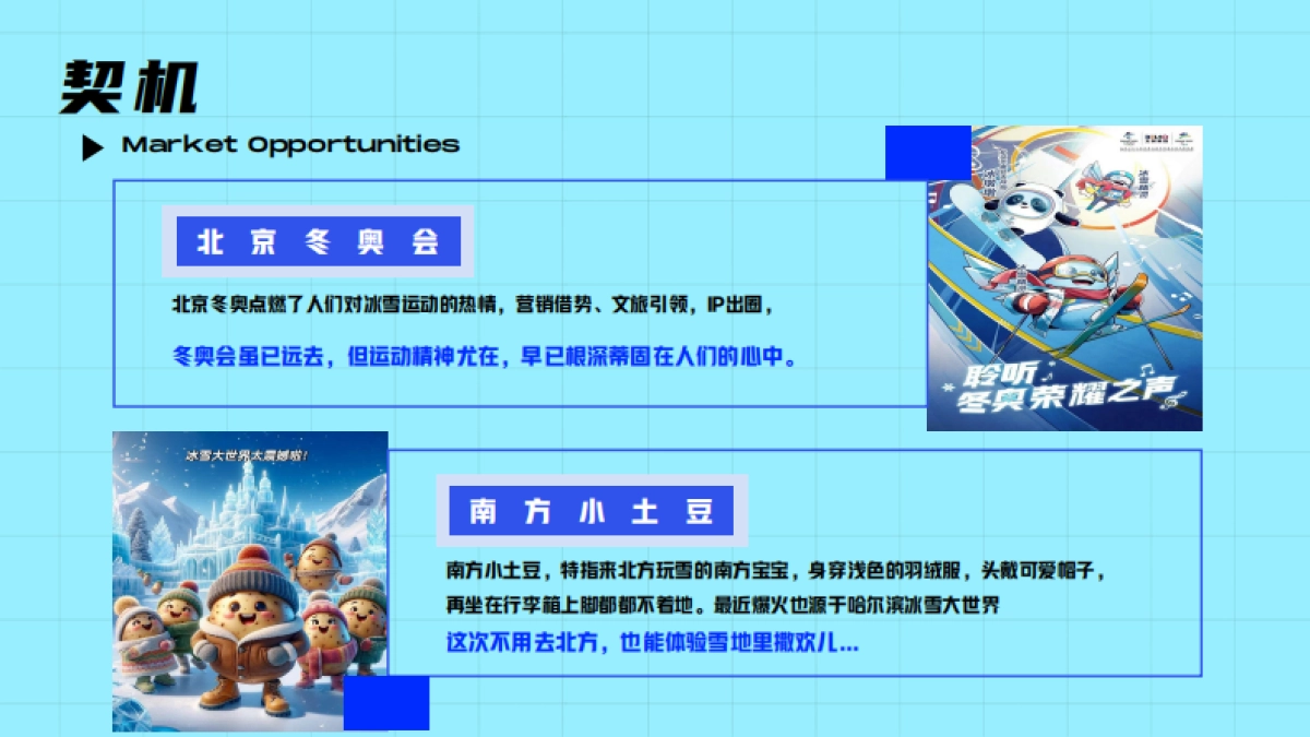 2024四季滑雪场项目包装设计方案_第6页