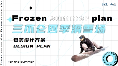 2024四季滑雪场项目包装设计方案