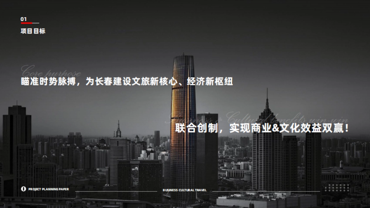 非标商业体打造_第9页