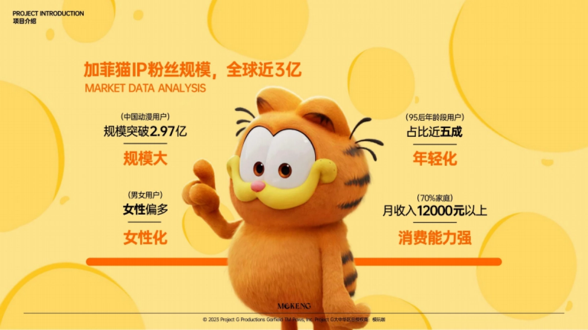 加菲猫家族品牌手册_第7页