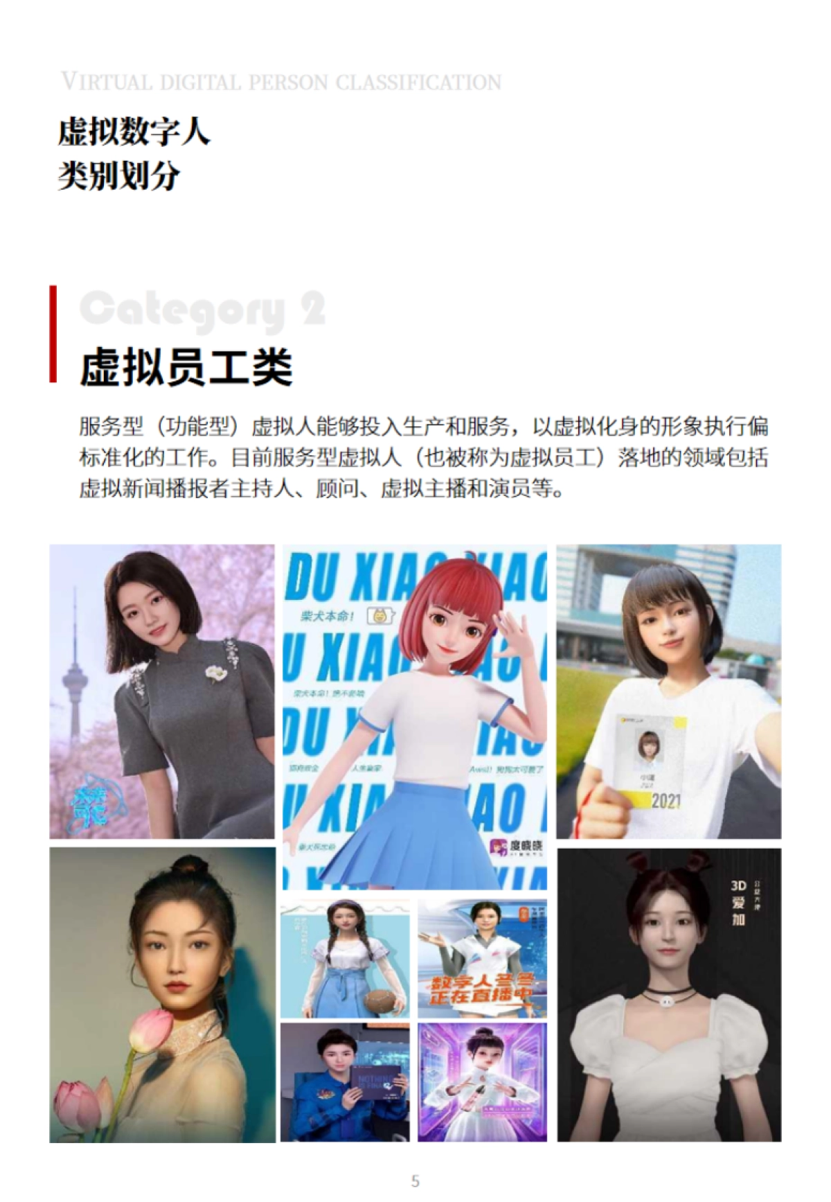 酸了个菜虚拟数字人规划方案_第5页