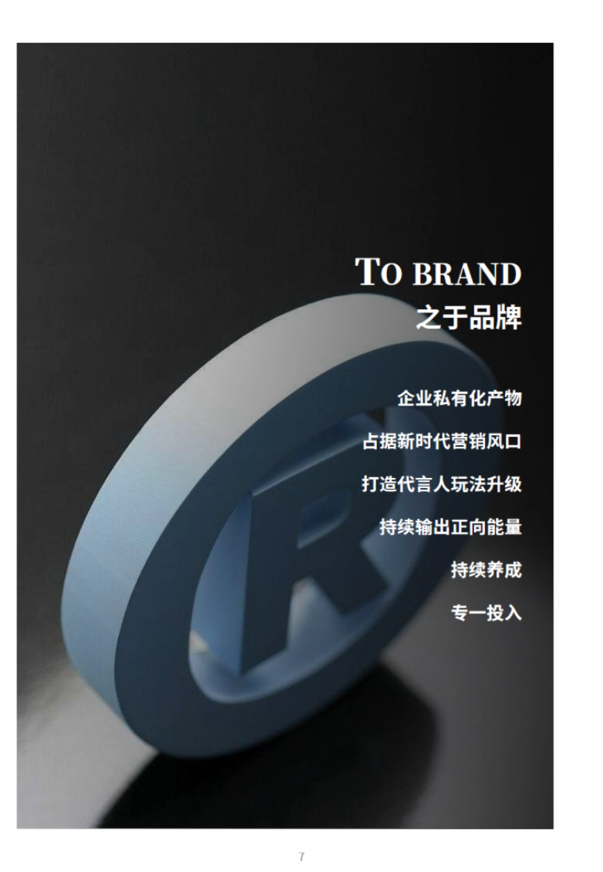 酸了个菜虚拟数字人规划方案_第7页