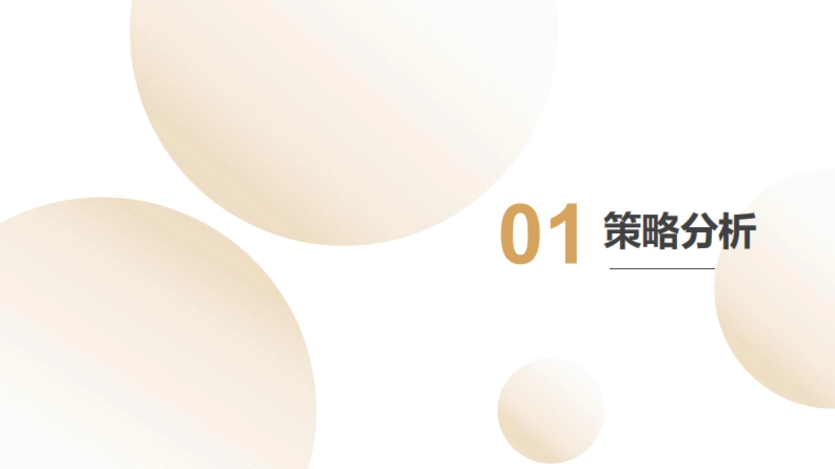 太平鸟小红书营销方案_第3页