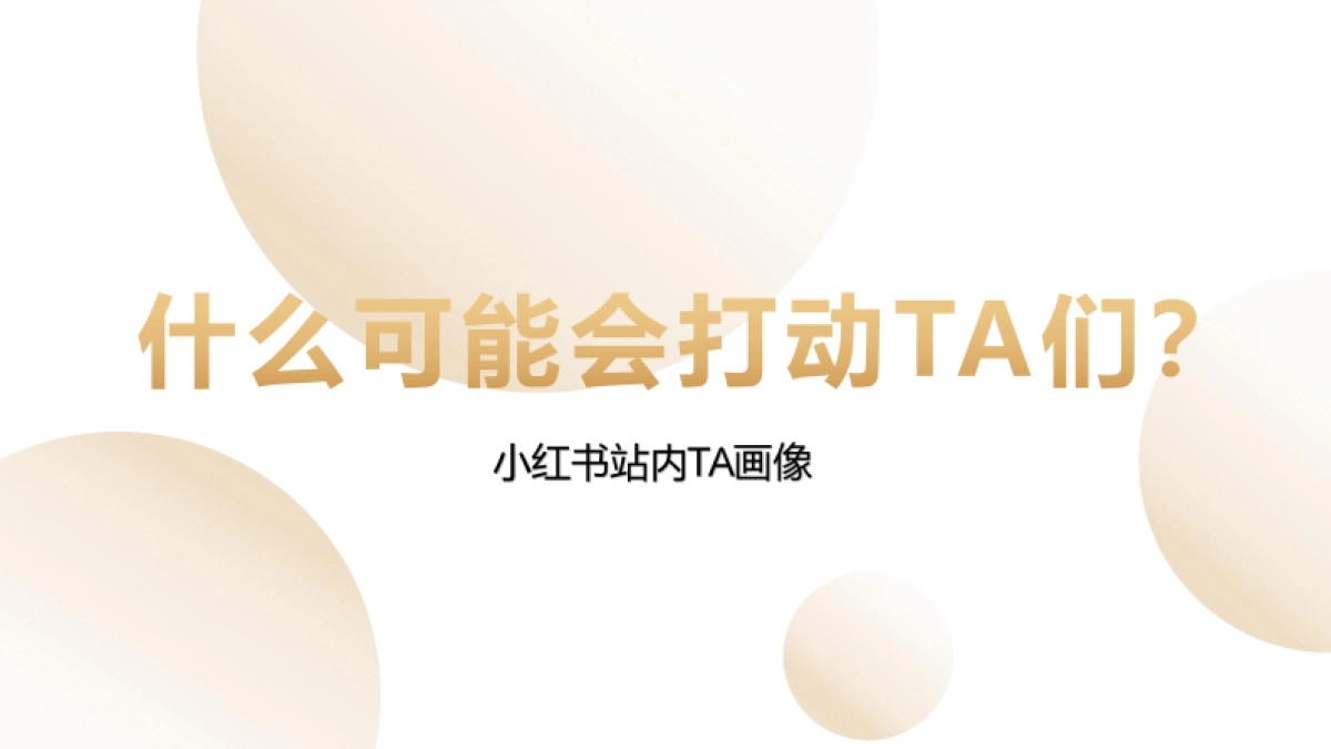 太平鸟小红书营销方案_第8页