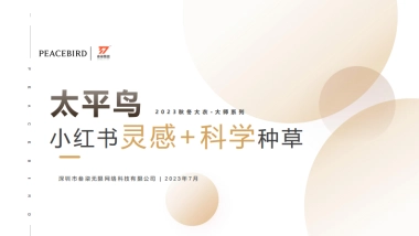 太平鸟小红书营销方案