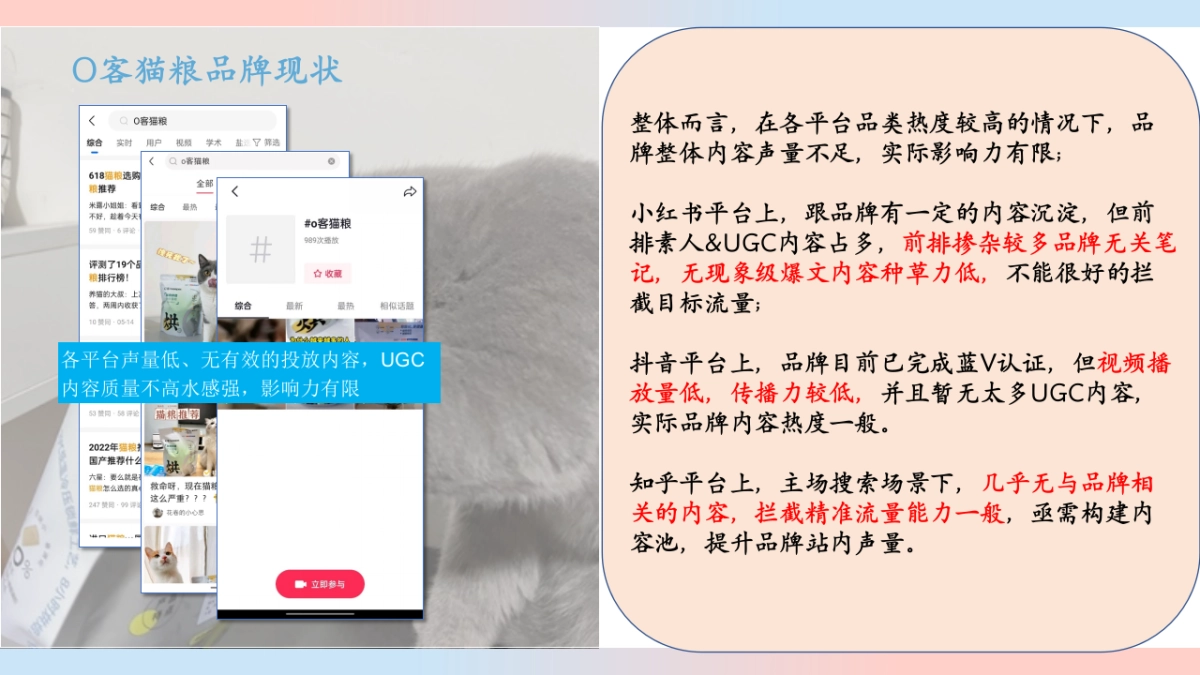 O客猫粮线上营销策划_第10页