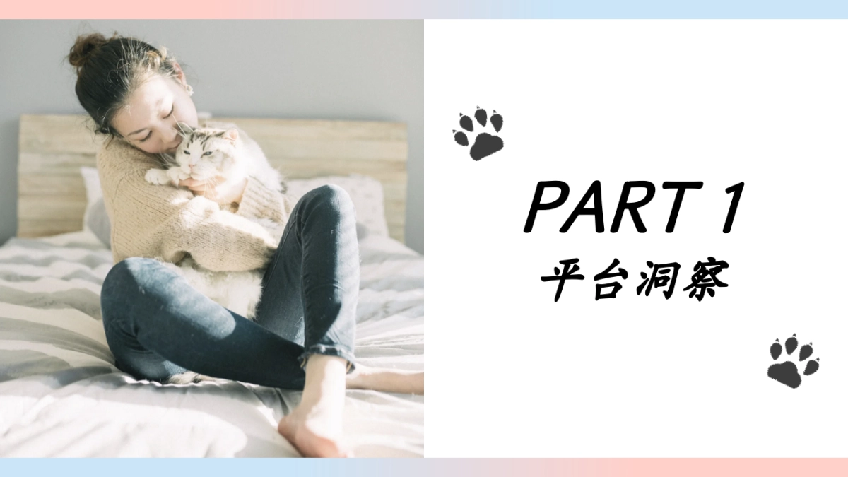 O客猫粮线上营销策划_第2页