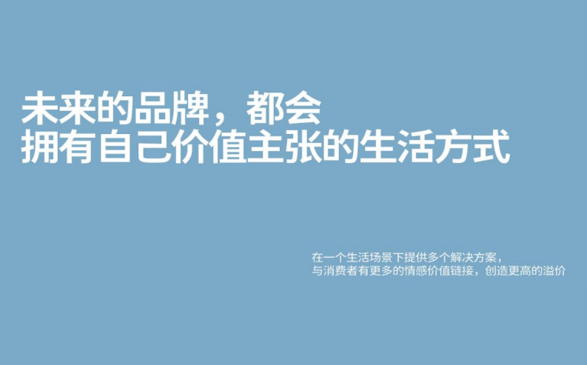 安莉芳内衣满分一家人品牌超级策略全案_第6页