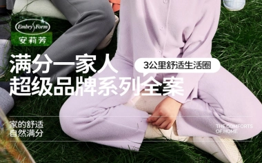 安莉芳内衣满分一家人品牌超级策略全案