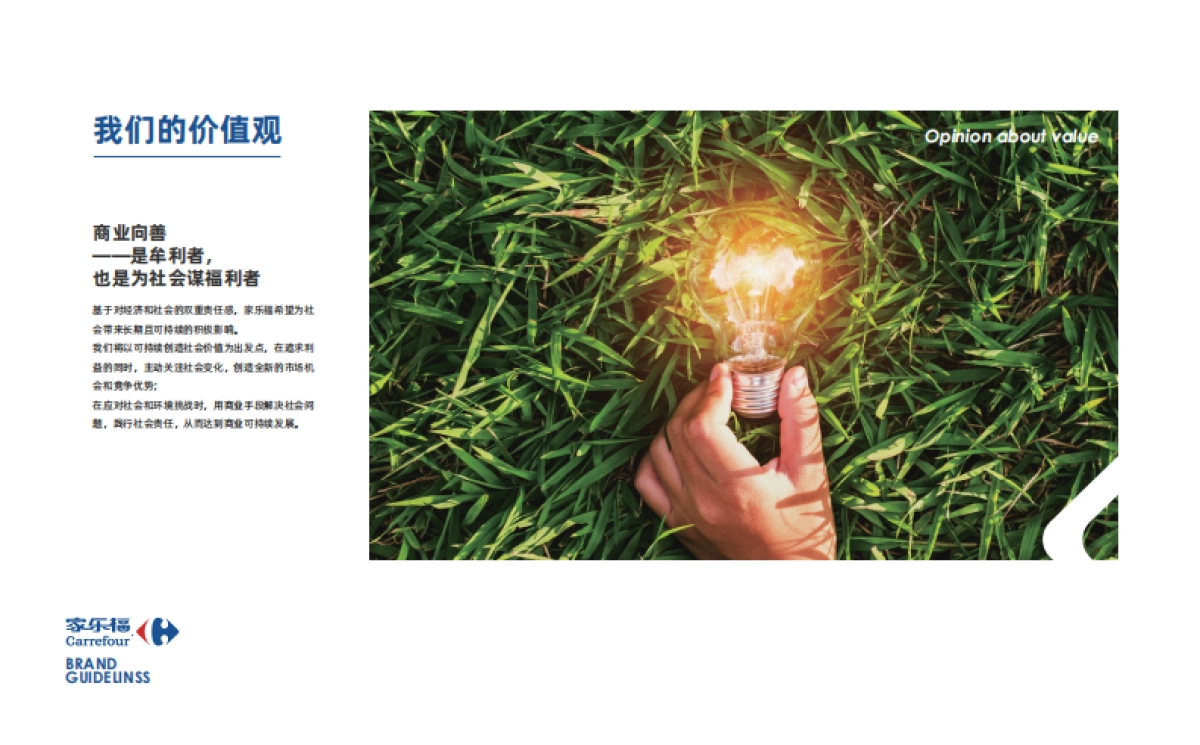 家乐福品牌VIS视觉形象系统规范手册_第10页