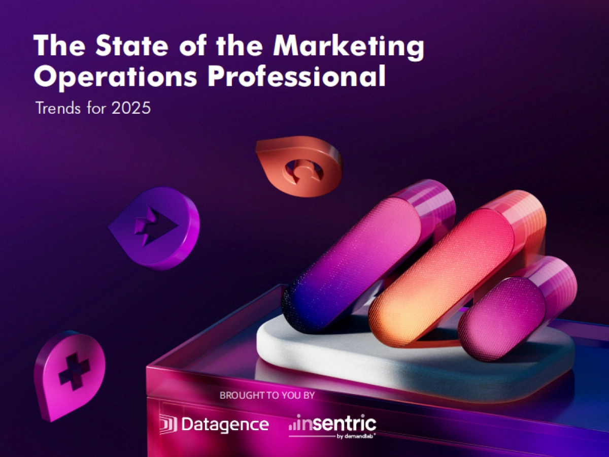 2025年营销运营专业人士报告（英文）_第1页