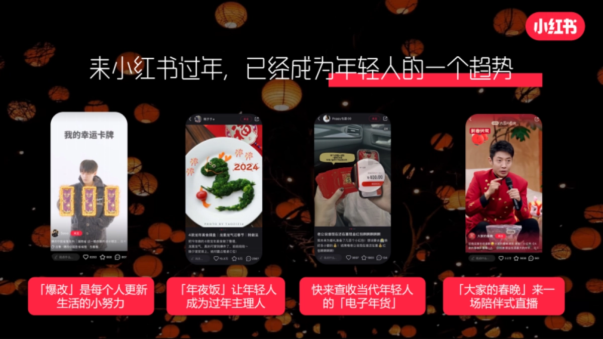 2025薯地过新年招商_第3页