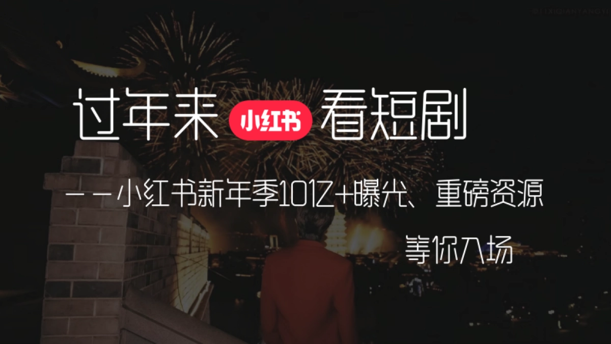 2025薯地过新年招商_第8页