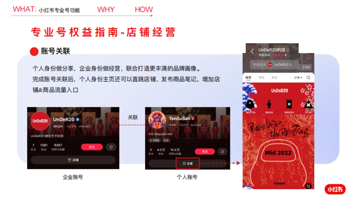 小红书专业号运营建议_第9页