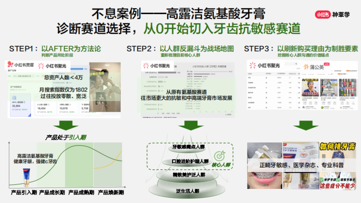 掌握小红书全要素工具自己也能定制小红书策略全案_第6页