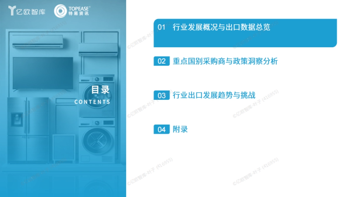 中国消费电子出海国别机会洞察报告_第2页
