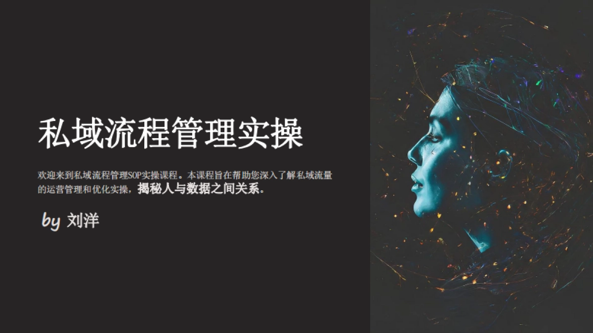 私域流程管理-伊万_第1页