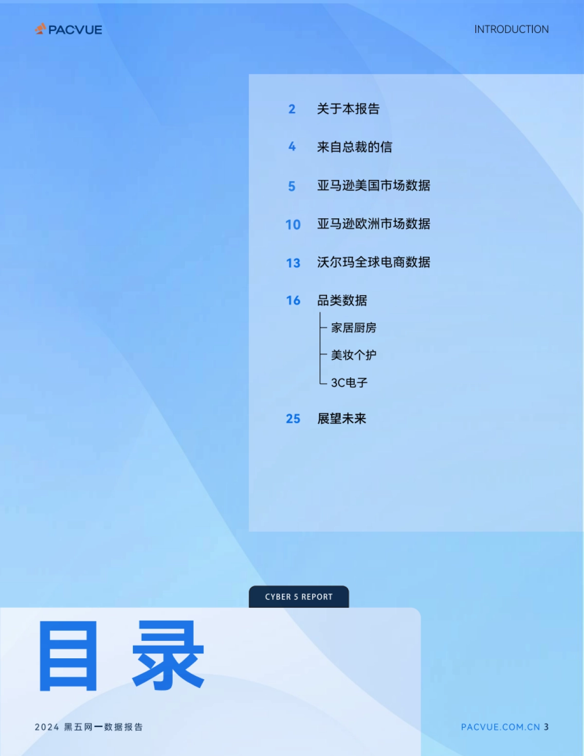 2024黑五网一数据报告_第3页