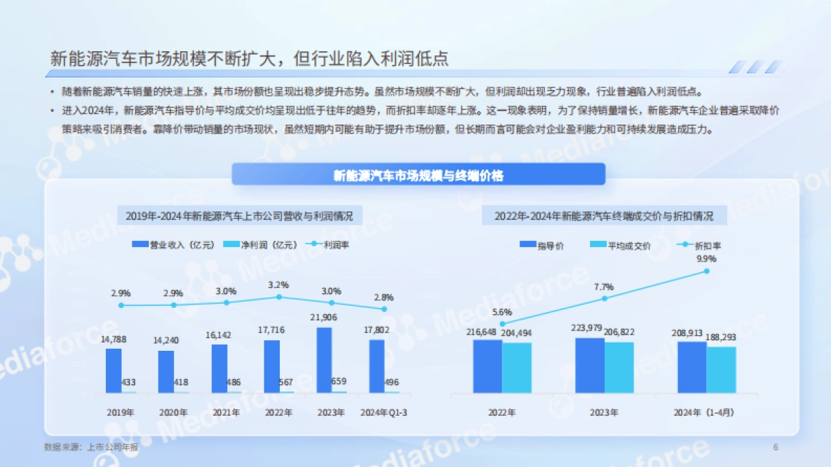 2024年新能源汽车价格战消费者洞察报告_第6页