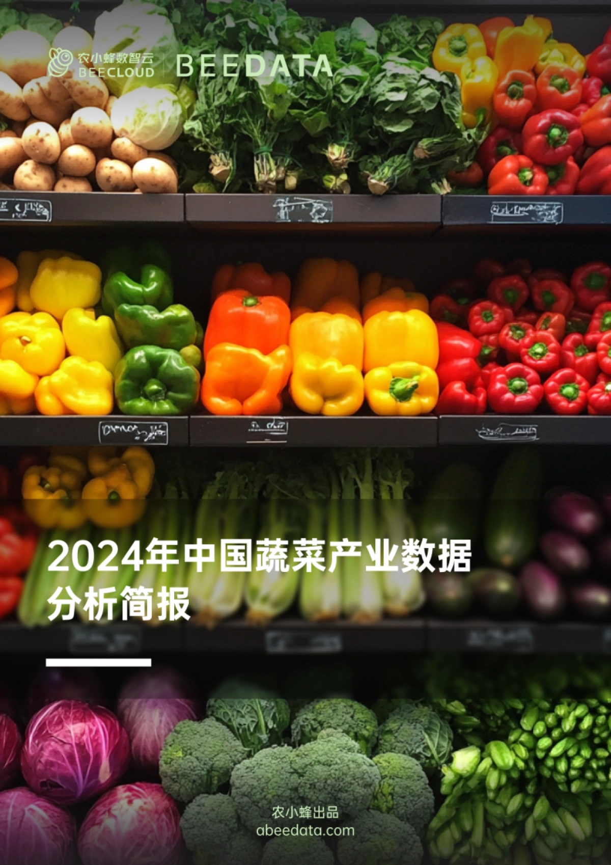 2024年中国蔬菜产业数据分析简报_第1页