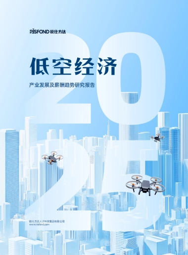 2025低空经济产业发展及薪酬趋势研究报告