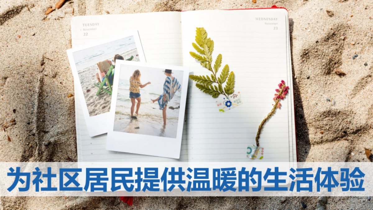 大型购物中心项目改造品牌焕新升级推广方案_第8页