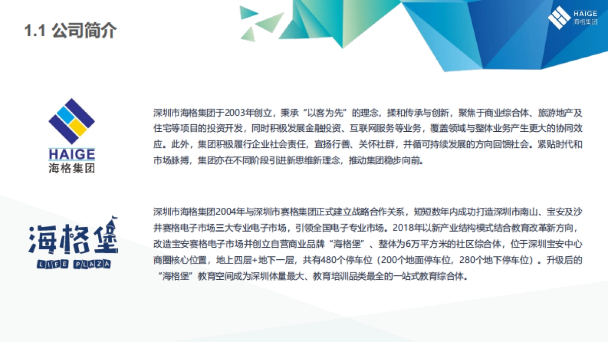 大型购物中心项目改造品牌焕新升级推广方案_第9页