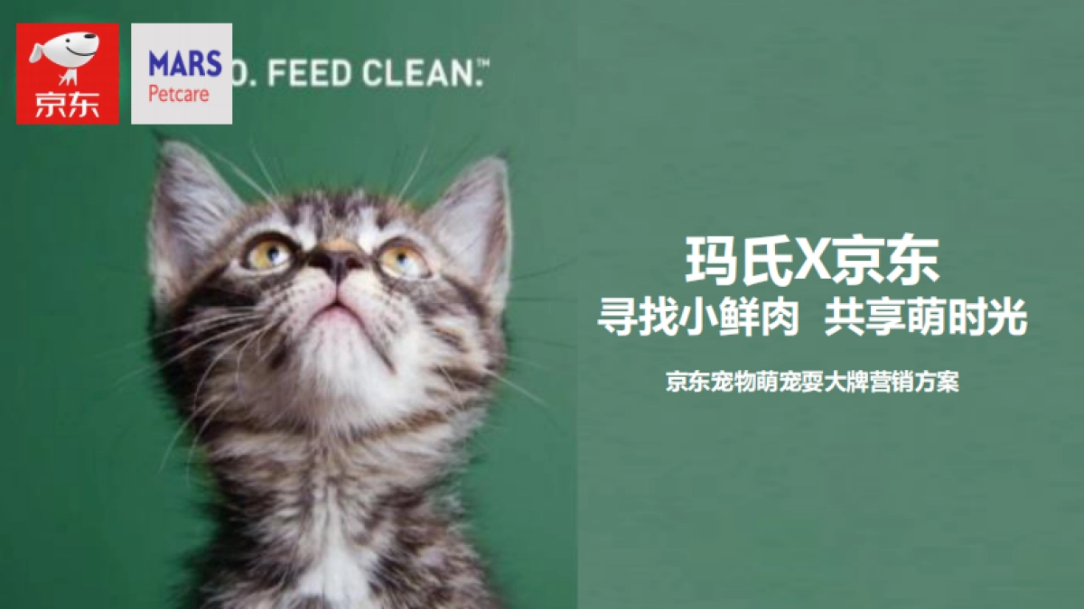 京东玛氏宠物耍大牌营销方案_第1页