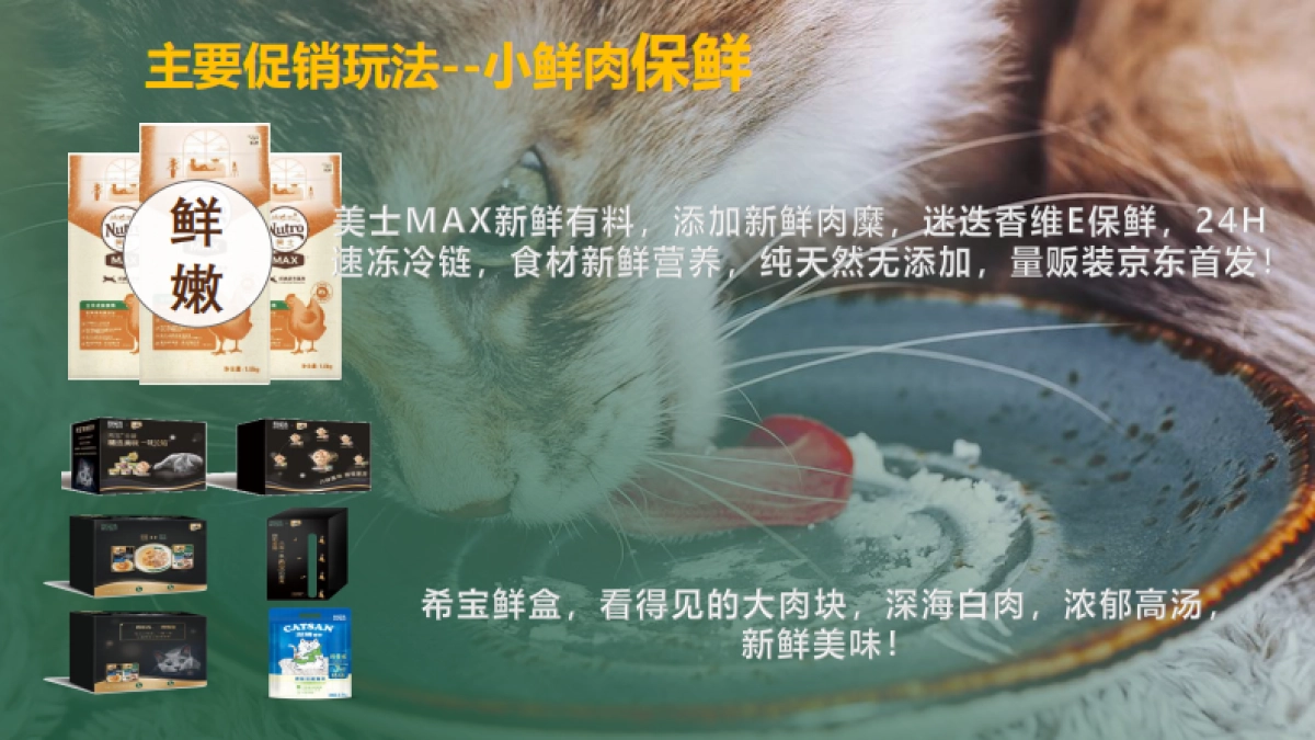 京东玛氏宠物耍大牌营销方案_第10页