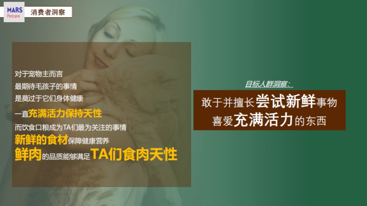 京东玛氏宠物耍大牌营销方案_第5页